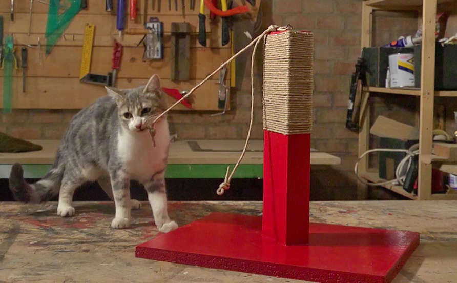gioco per gatti in legno