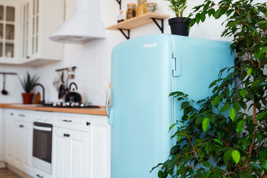 Ristrutturazione della cucina: è possibile dipingere il frigorifero?