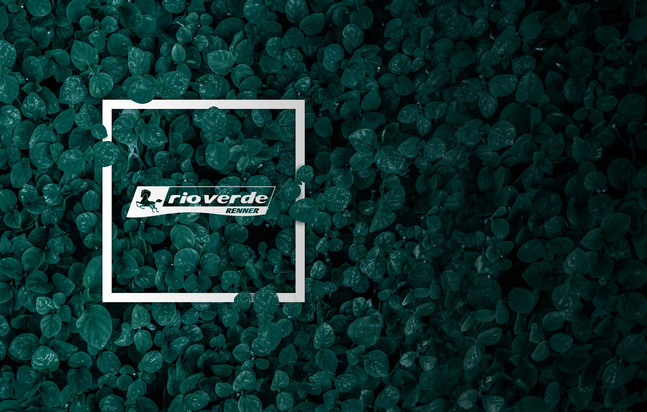 Rioverde per l'ambiente