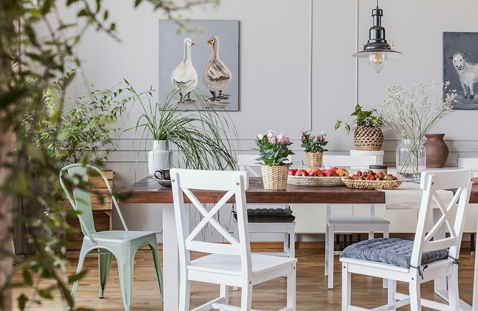 Sala da pranzo in stile cottagecore, con sedie diverse le une dalle altre, un grande tavolo solido, tante piante e vasi