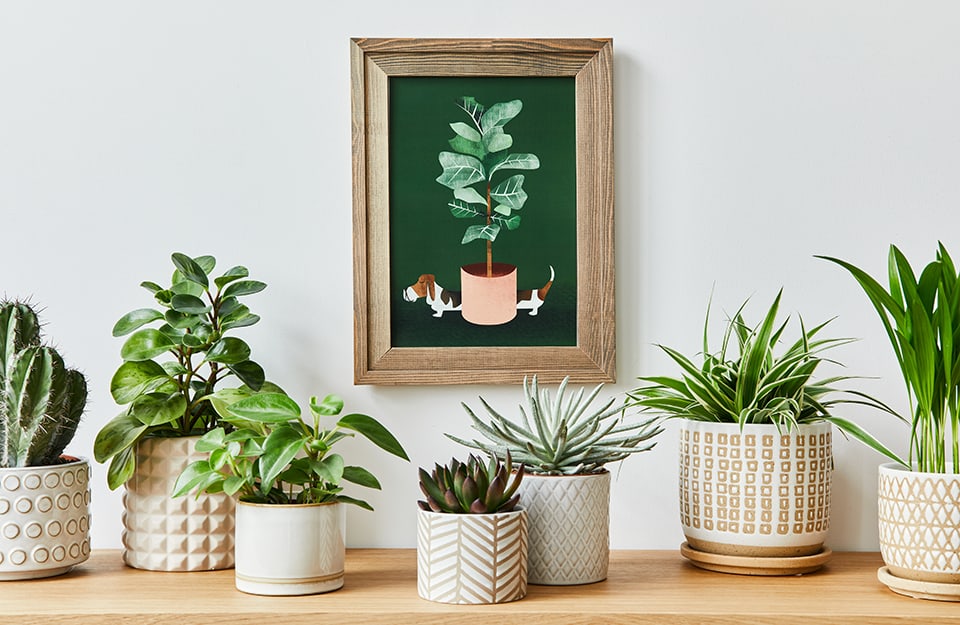 Composizione con vasi e piante di diverse dimensioni, davanti a un quadro con una illustrazione moderna a tema botanico