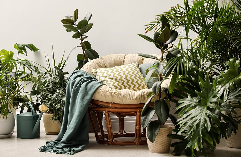 Angolo di un salotto con una poltrona circolare circondata da piante, in perfetto stile urban jungle
