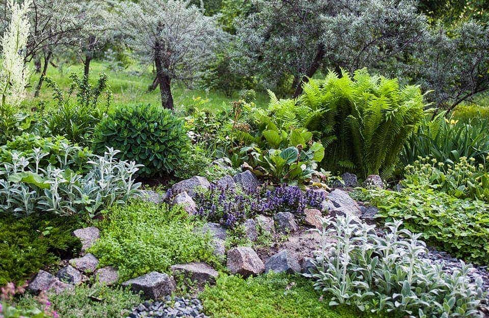Un terreno in lieve pendenza con un giardino roccioso