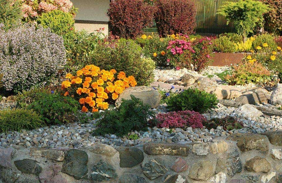 Un coloratissimo giardino roccioso con piante di molte specie differenti