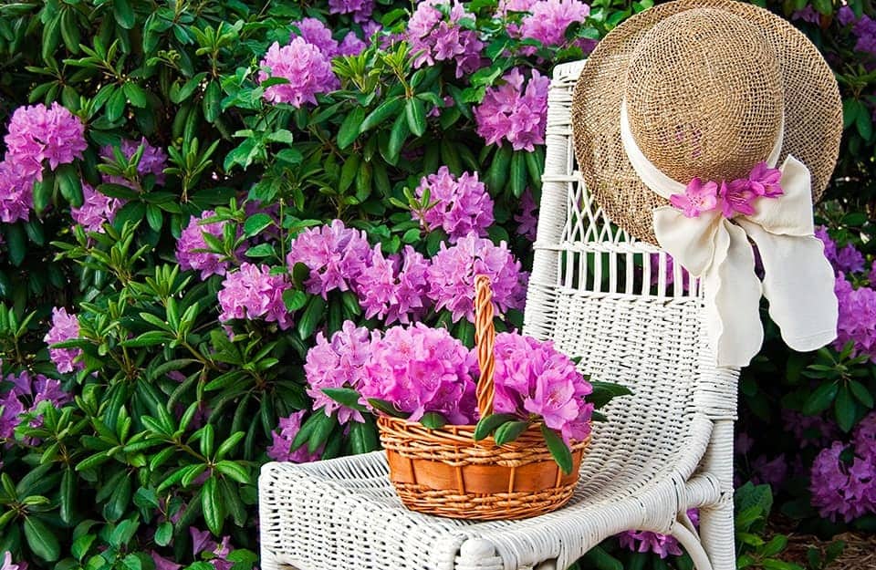 Una sedia da giardino in vimini dipinta di bianco davanti a un cespuglio fiorito, con un cestino in vimini pieno di fiori sul sedile e un cappello di paglia appeso, decorato con un fiocco