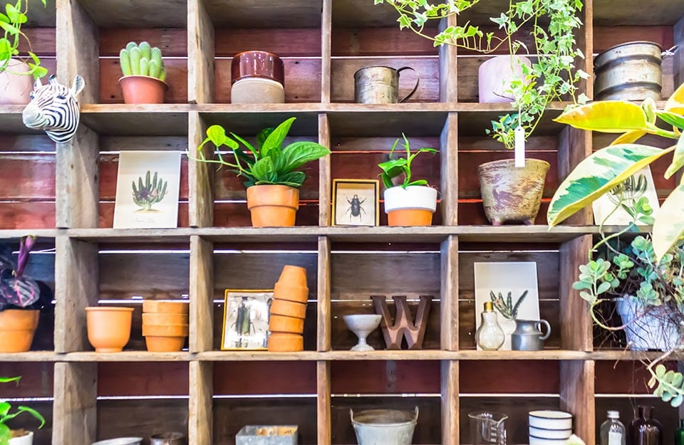 Un grande scaffale in legno da esterno pieno di vasi con piante e di cornici con immagini naturalistiche