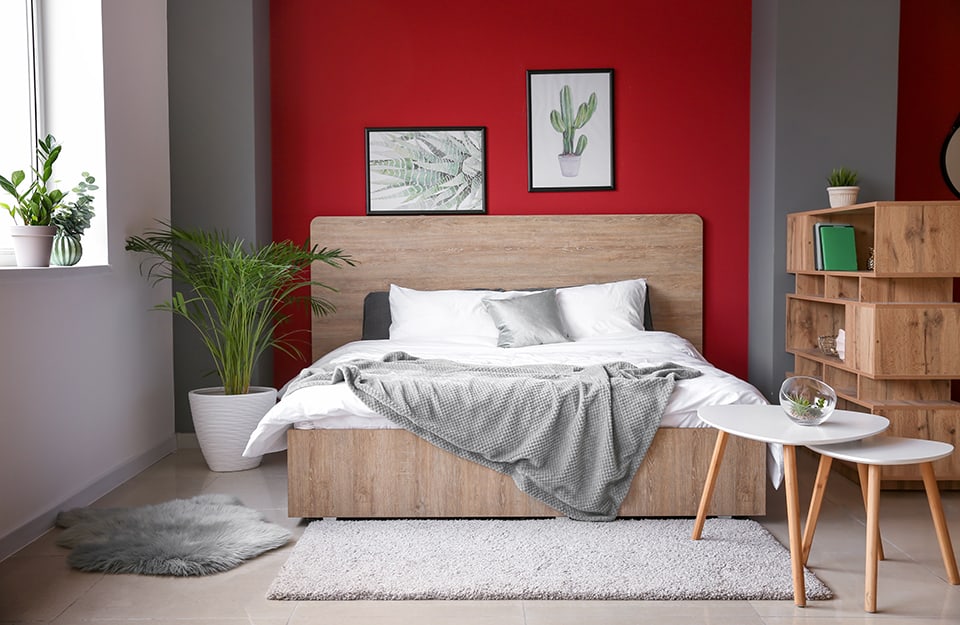 Open-plan bedroom, separated by a modern-style wooden bookcase. The bed is made of natural wood and above the headboard are two nature prints. The wall behind the bed is red, surrounded by two grey columns. The other visible wall is white and there is a window. At the side of the bed is a large potted fern. Other small plants are on the window sill. At the end of the bed are two different kinds of carpets and two matching wooden coffee tables;