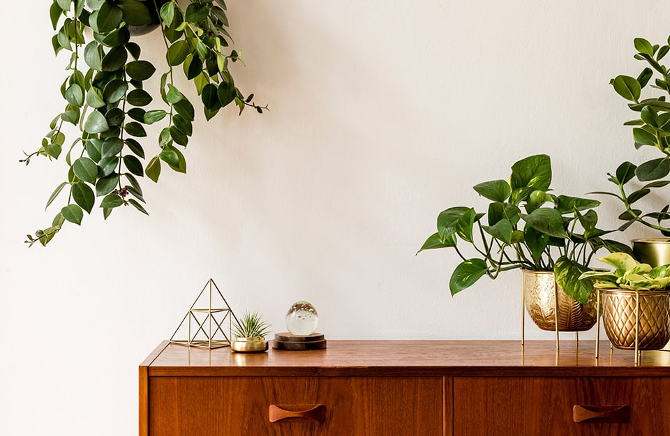 Detail of a modernist console table in natural wood with plants and ornaments on it;