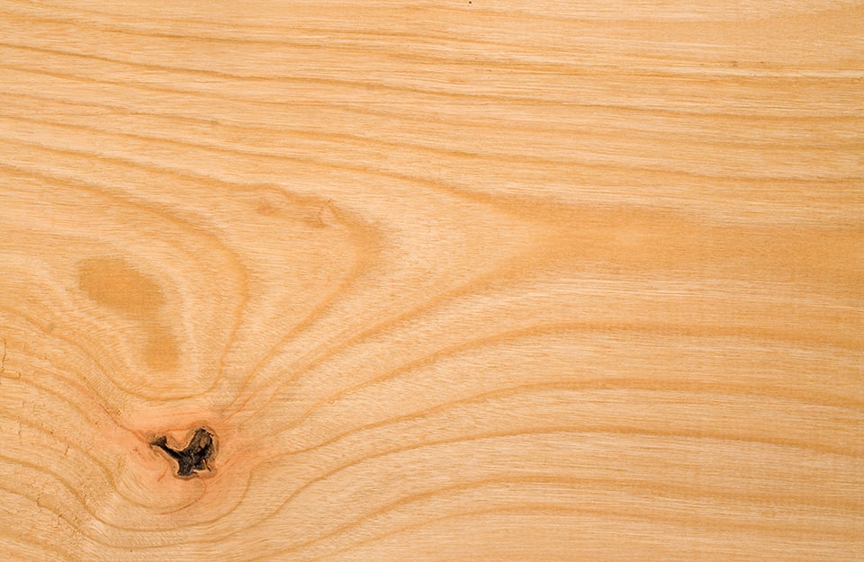 Detail of a beech wood plank