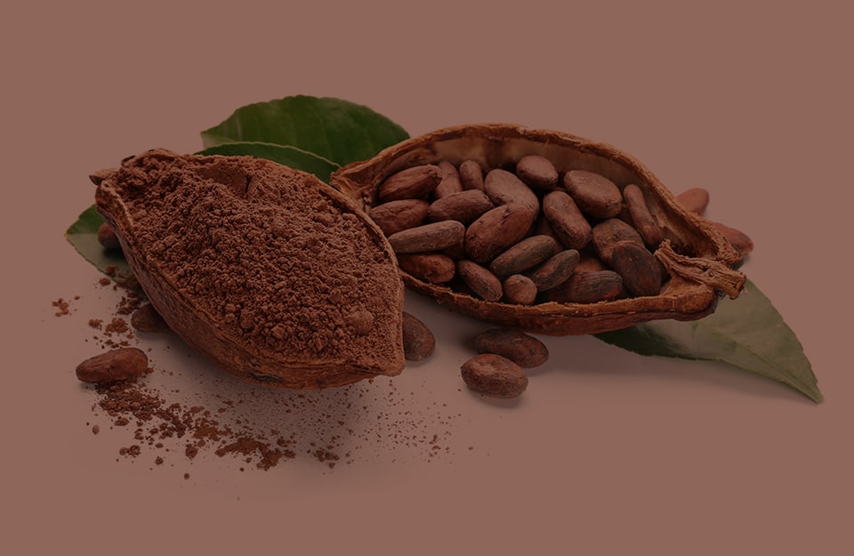 Un frutto di cacao essiccato, tagliato in due metà e mostrato su sfondo marrone. Una metà contiene semi di cacao e l'altra la polvere che se ne ottiene