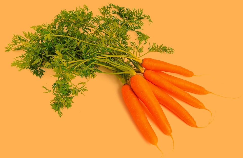 Un mazzetto di carote su sfondo arancione