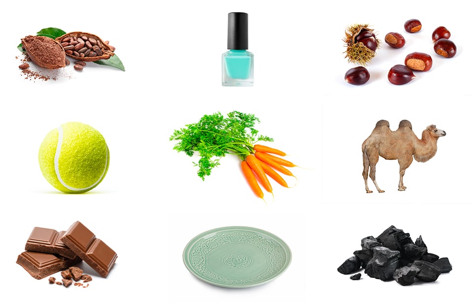 Una serie di elementi che rappresentano i colori con la c: del cacao, uno smalto ciano, delle castagne, una palla da tennis, delle carote, un cammello, del cioccolato, un piatto di ceramica, del carbone