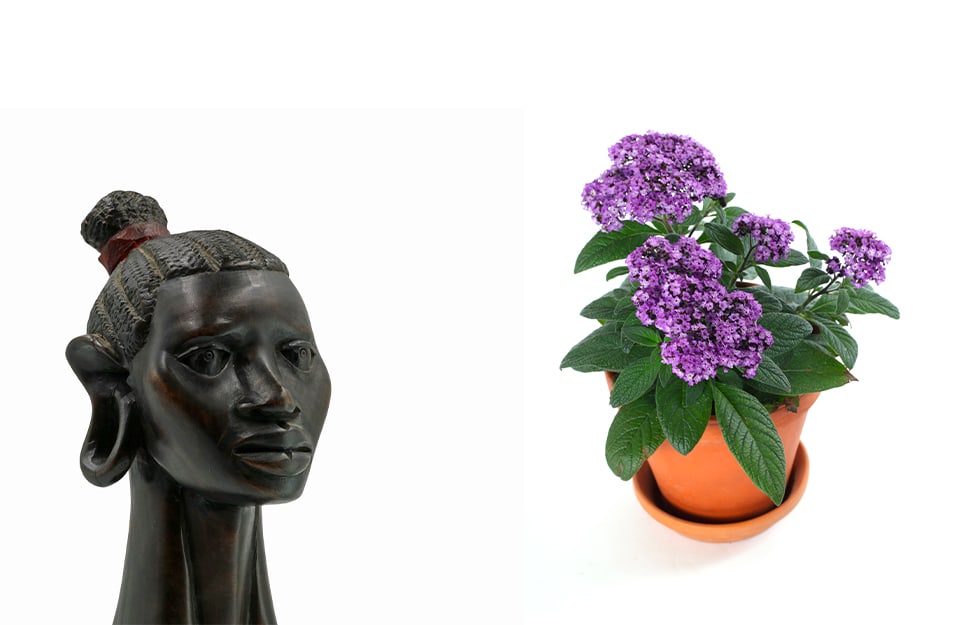 Due degli elementi che rappresentano i colori con la E: una statuetta in ebano che raffigura un volto e una pianta in vaso di Heliotropium