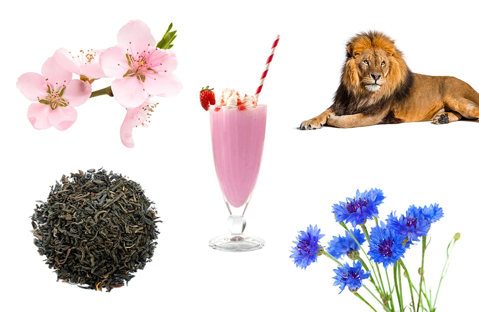 Una serie di elementi che rappresentano i colori con la f: dei fiori di ciliegio, un frappè, un leone, delle foglie di tè e dei fiori di fiordaliso
