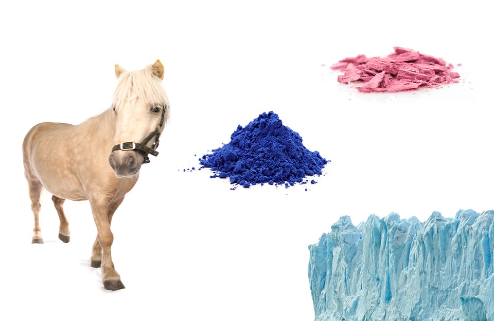 Alcuni degli elementi che danno il nome ai colori con la I: un iceberg, un pigmento indaco, del trucco incarnato prugna e un cavallo