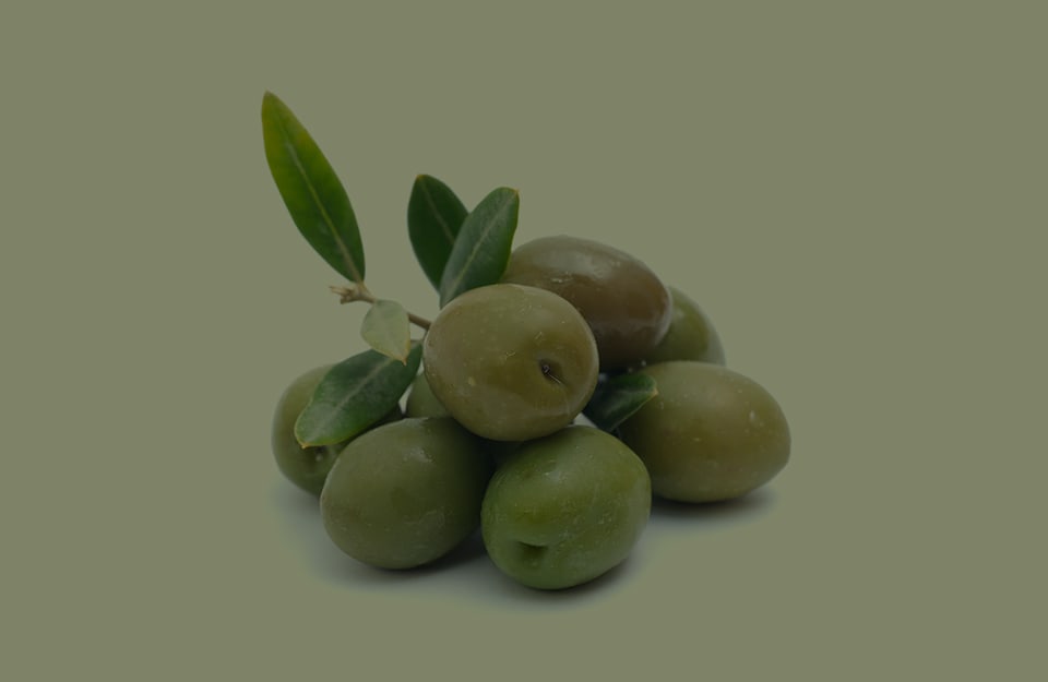 Delle olive con un ramoscello di ulivo su sfondo monocromatico verde oliva