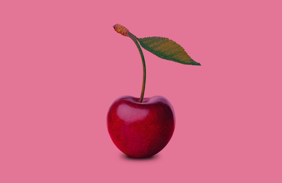Una ciliegia con gambo su sfondo rosa ciliegia
