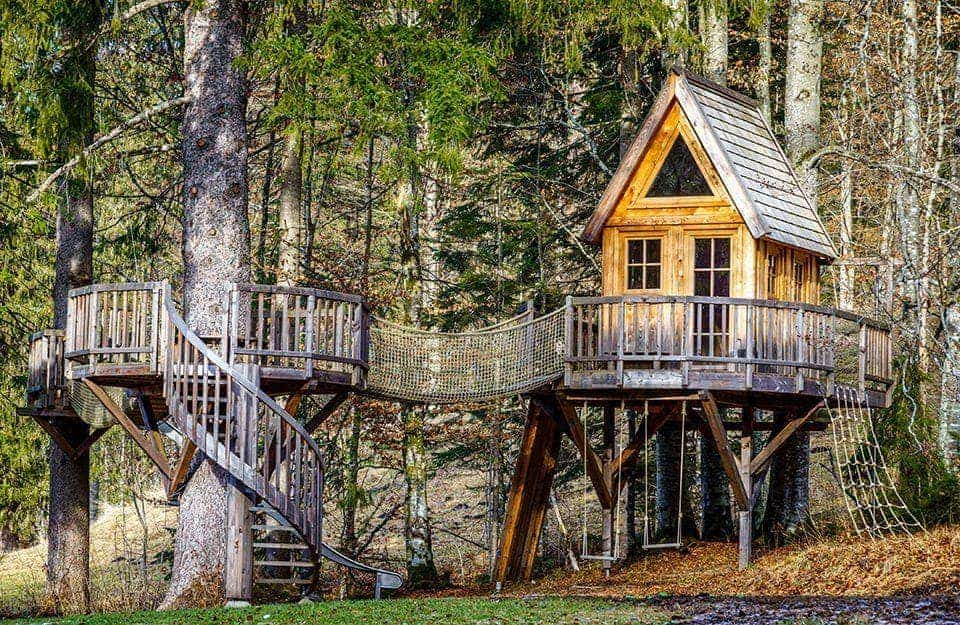 Una casa sull'albero in mezzo al bosco con un intricato percorso di scale e corde per raggiungerla