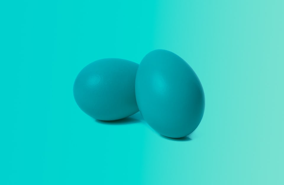 Due uova di pettirosso su sfondo color Uova di pettirosso