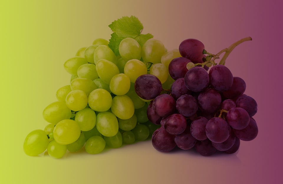 Due grappoli d'uva, uno verde e uno viola, su sfondo che sfuma dal colore dell'una al colore dell'altra