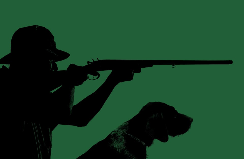 Le silhouette di profilo di un cacciatore col fucile puntato e del suo cane, su sfondo verde