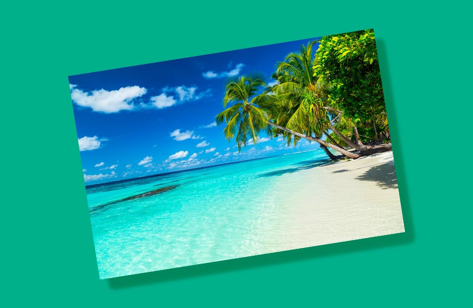 Una cartolina dei caraibi su sfondo verde