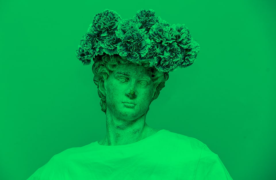 Busto di una statua con dei fiori come copricapo, tutto sui toni del verde, su sfondo pure verde