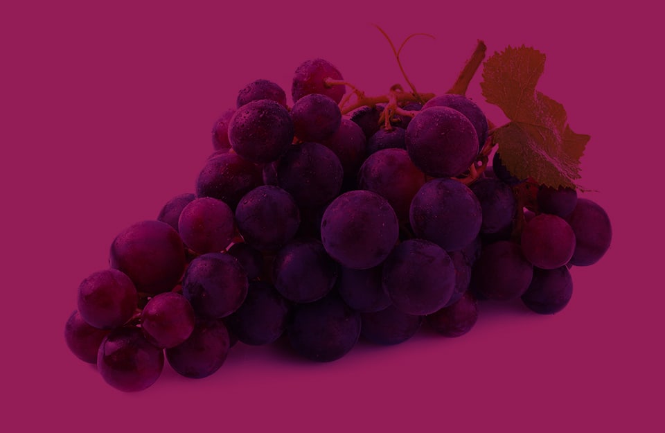 Un grappolo di uva scura su sfondo color vinaccia