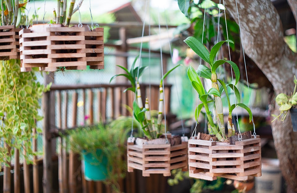 Un piccolo giardino pensile con vasi appesi realizzati in legno recuperato