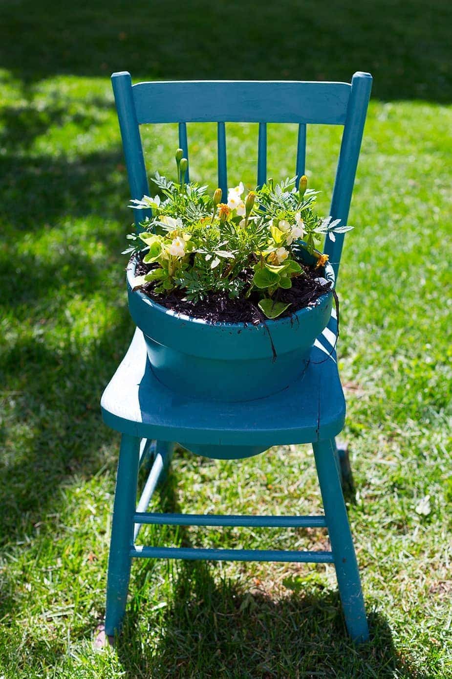 Una vecchia sedia ridipinta di blu con un foro circolare sul sedile, nel quale è infilato un vaso dello stesso colore della sedia, con una pianta all'interno