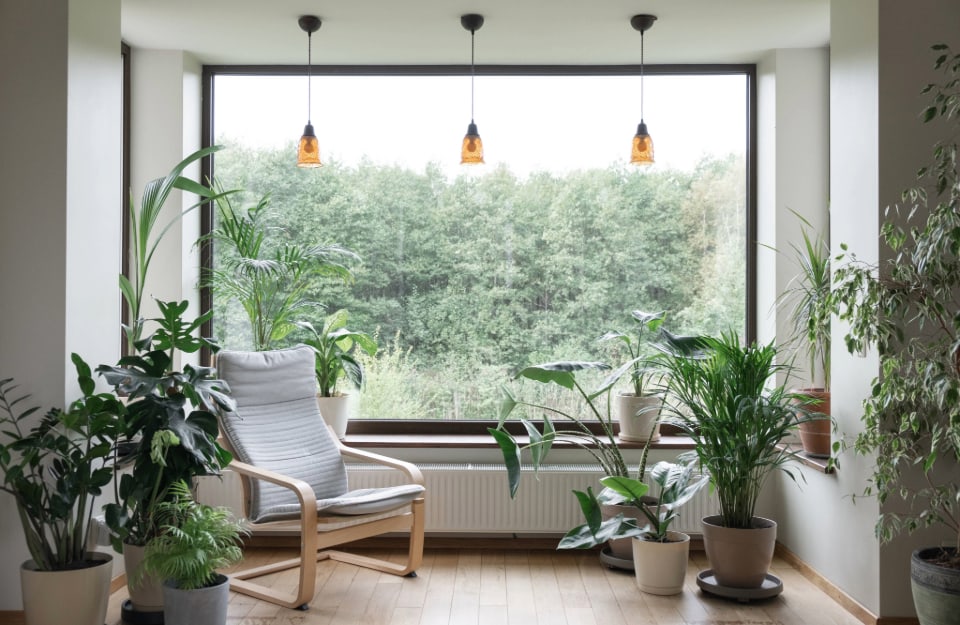 Stanza piena di piante e con una poltrona e tre piccoli lampadari che scendono dal soffitto, con una grande vetrata affacciata sul verde