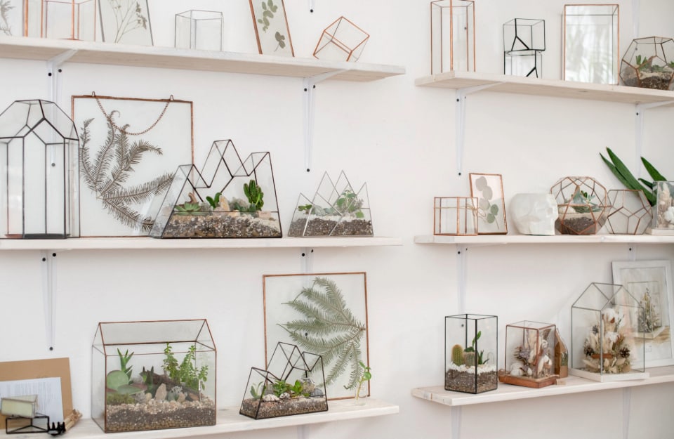 A wall full of shelves with a collection of terrariums of various shapes and framed leaves