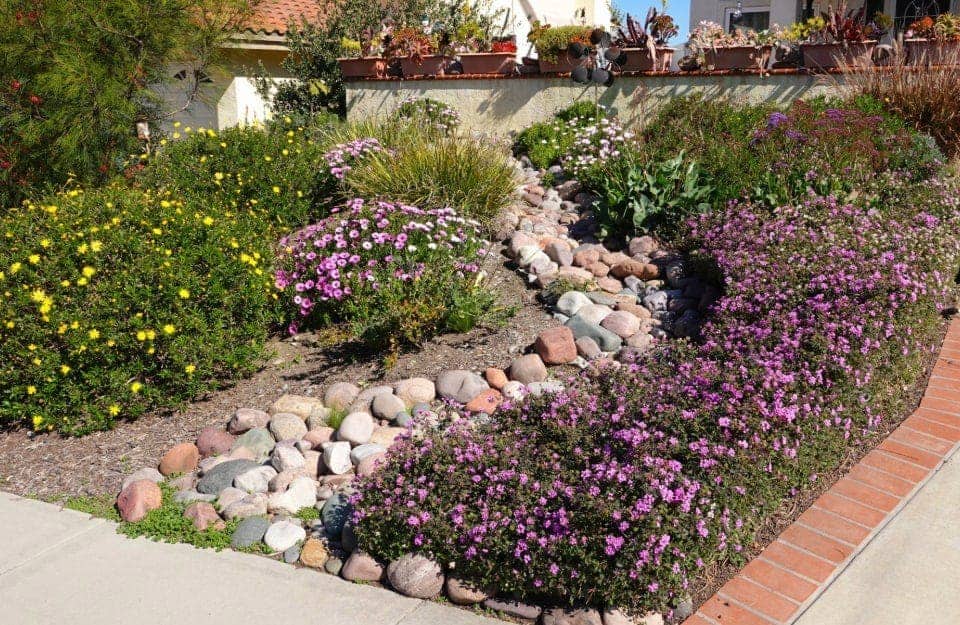A dry garden includes rocks, shrubs, ground cover plants and paths