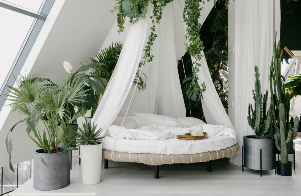 Un angolo di una camera da letto in stile urban jungle di una casa moderna, con letto circolare con tenda antizanzare circondato di molte piante in vasi di diverse dimensioni e forme