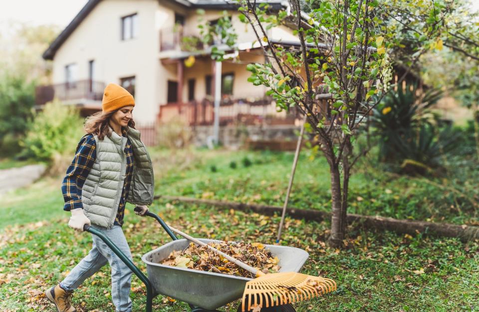 In autunno si devono rimuovere le foglie secche dagli arredi da giardino e dagli elementi in legno