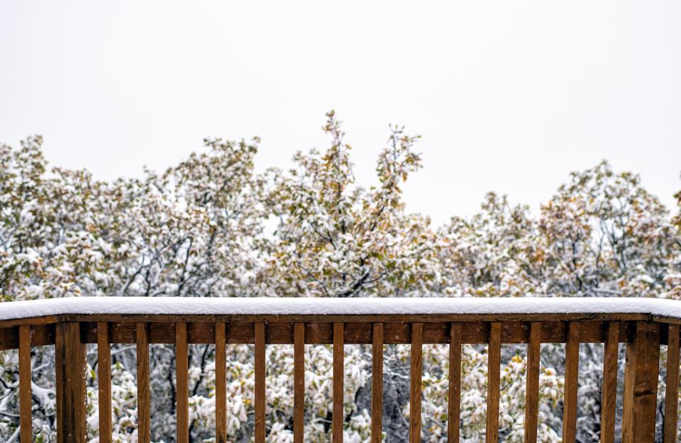 Legno esterno da giardino in inverno con luce solare radente
