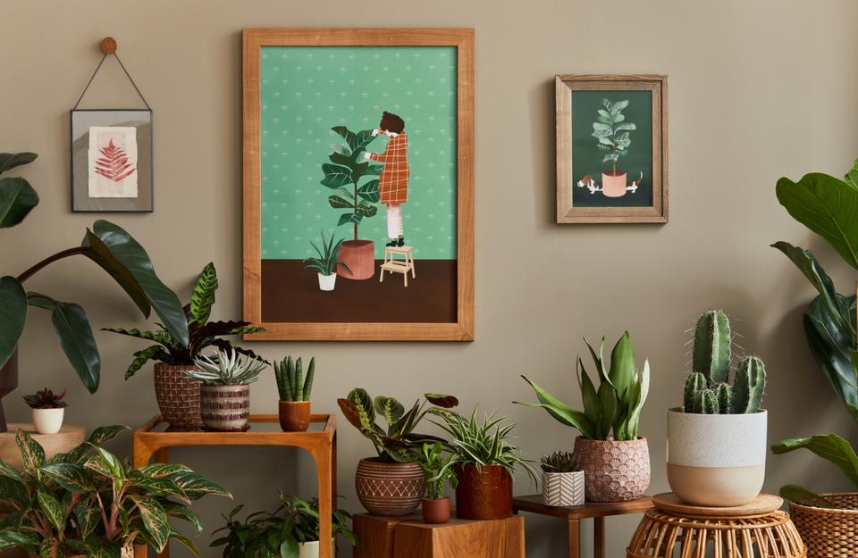 parete con quadri e piante verdi in vasi decorativi