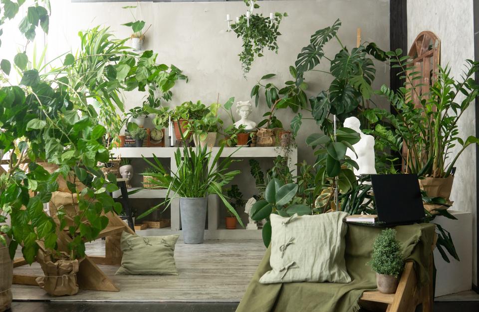 stanza in stile urban jungle con piante verdi rigogliose