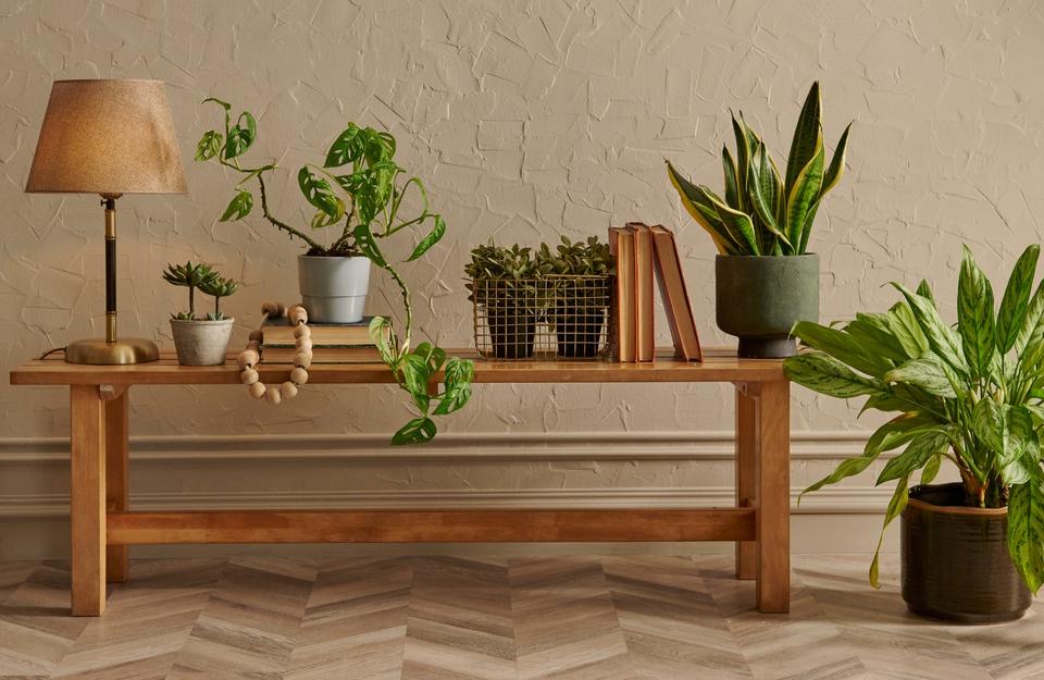 consolle in legno con lampada e piante d’arredo
